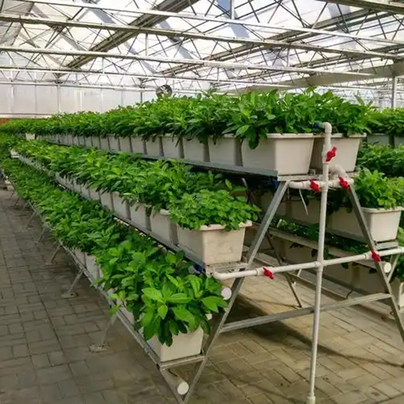 汕头市植物工厂苗床 - 排名