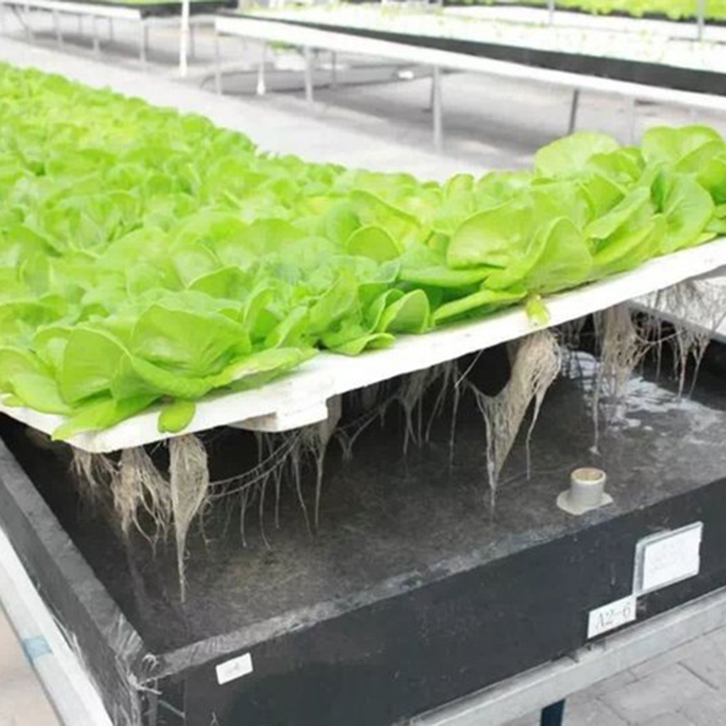 汕头市水培设备植物工厂 - 价格
