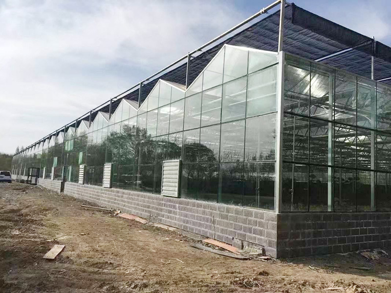 汕头市玻璃温室植物工厂 - 厂家